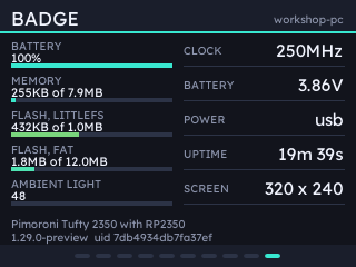 The badge's own battery, memory, flash use, ambient light, clock speed and screen size.