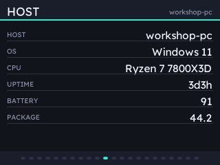 Host name, operating system, processor and uptime as text.